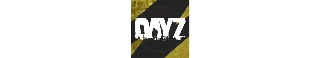 DayZ