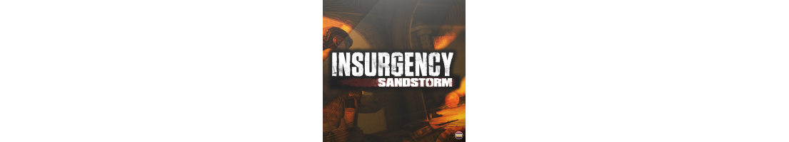 Insurgency : Sandstorm