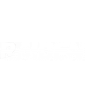 Raiden