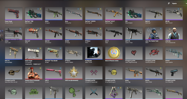 CS2 Premier Ready NFA - Image 3